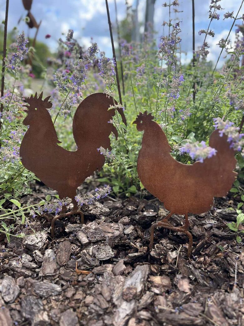 🐔Pavasariniai vištukai pora