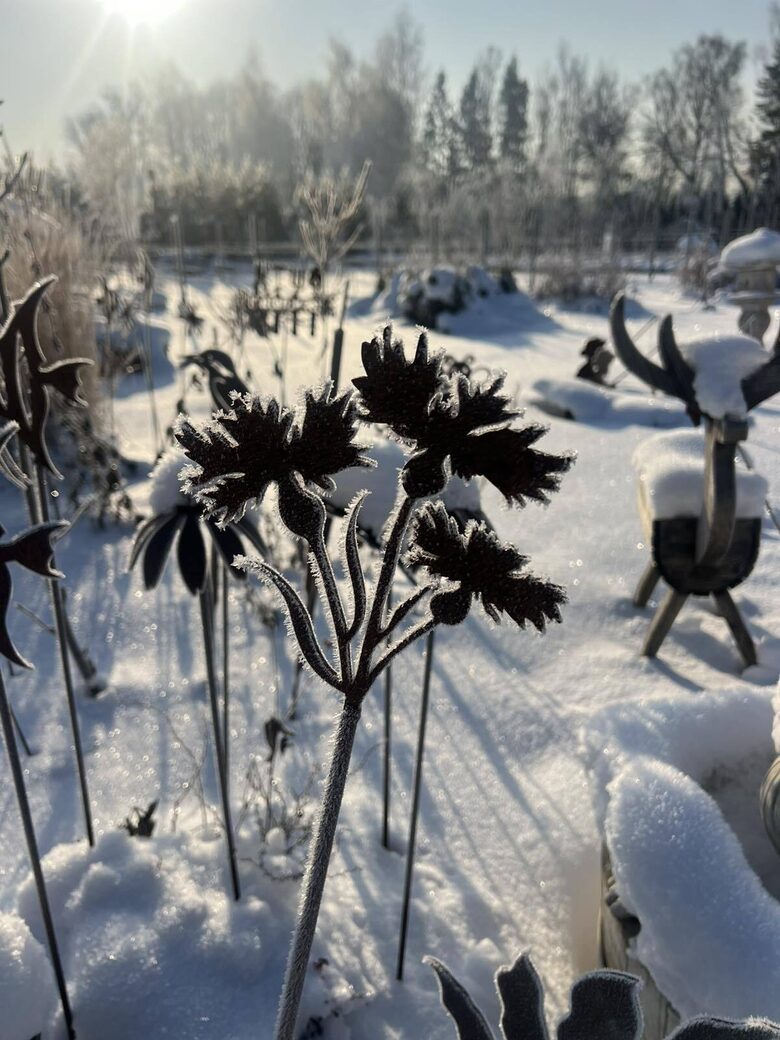 Rugiagėlių šakelė