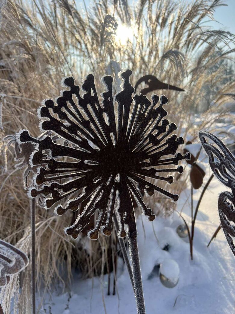 🧄 Dekoratyvinis česnakas