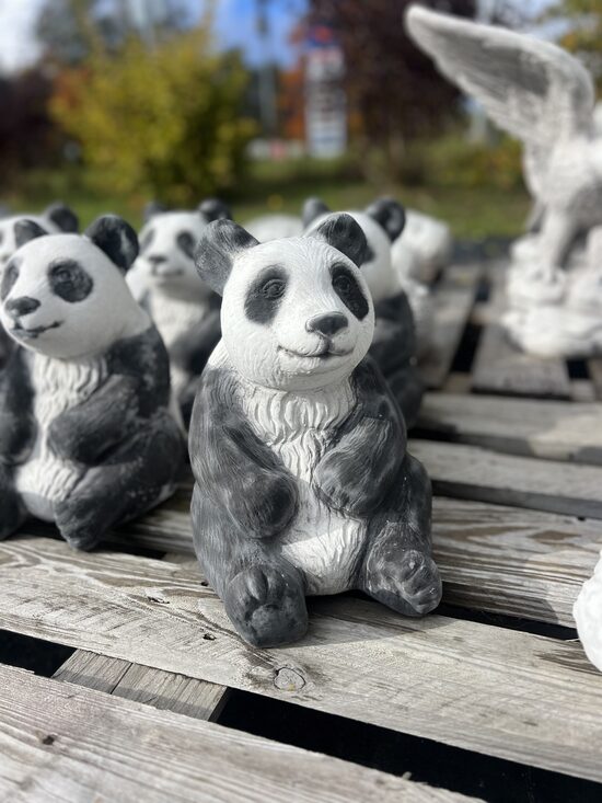 🐼Panda🐼