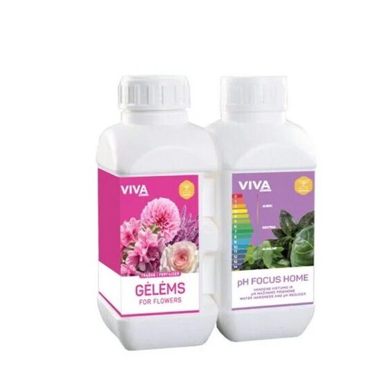 RINKINYS 500 + 500 ML GĖLĖMS + pH FOCUS HOME