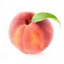 Dnepro, žemaūgis, vazone