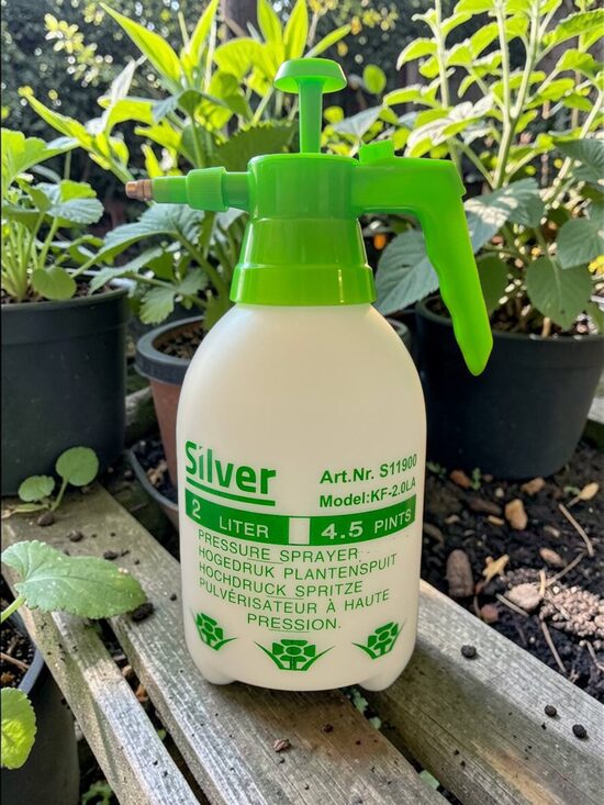 Rankinis purkštuvas